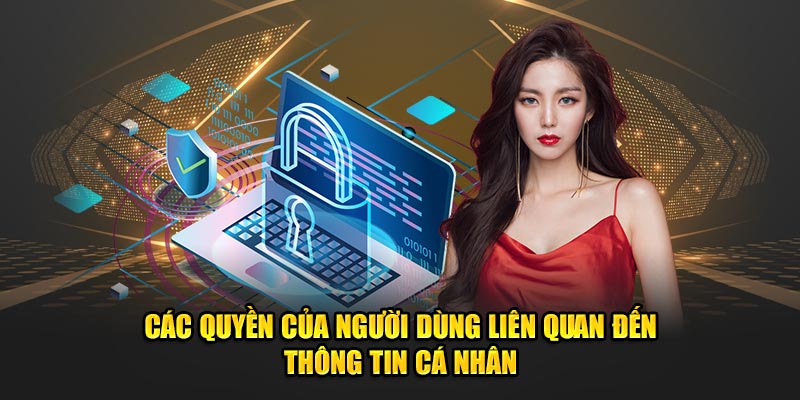 Quyền lợi người dùng trong chính sách bảo mật của J88 đảm bảo an toàn thông tin.